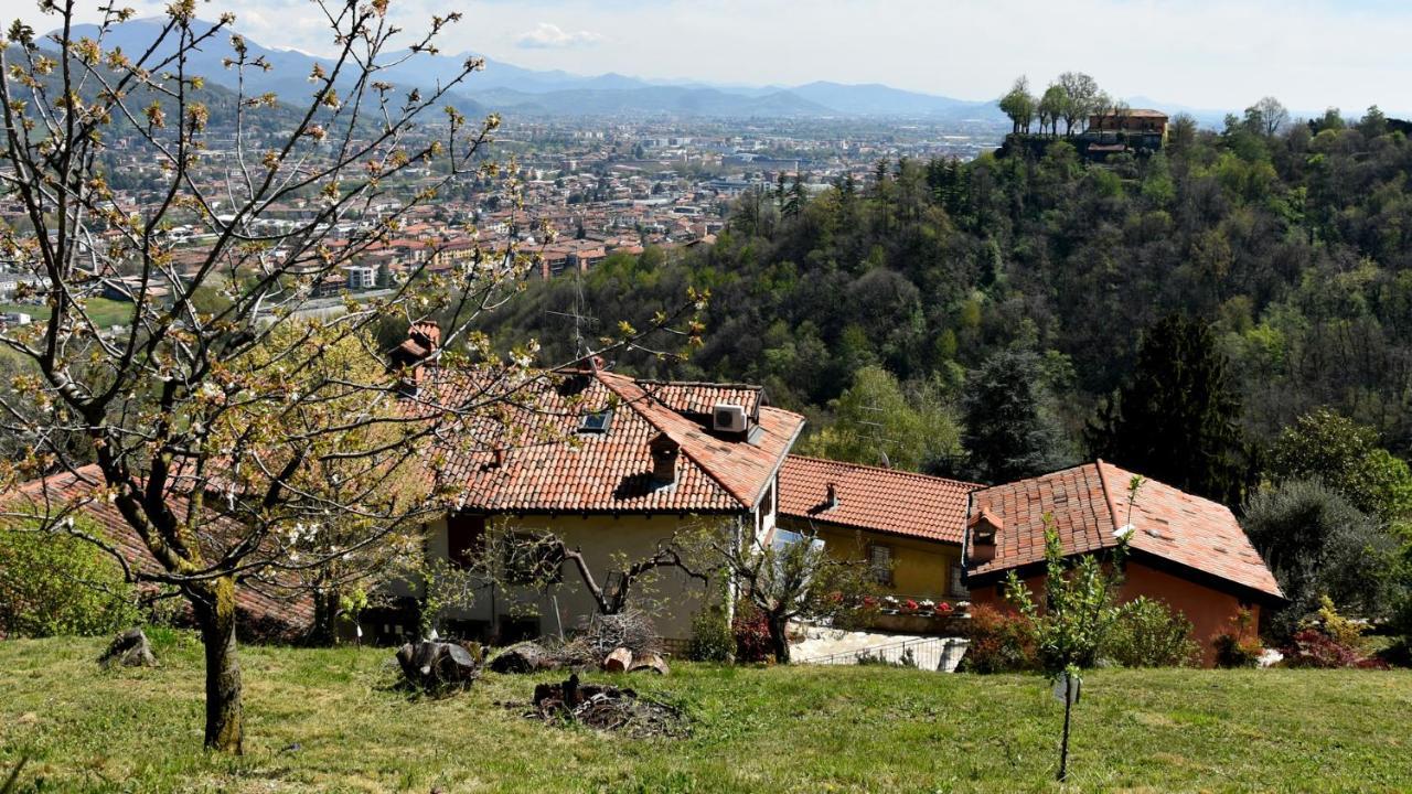 Апартаменти Il Giardino Di Berbech Citta Alta-Ulivo Бергамо Екстер'єр фото
