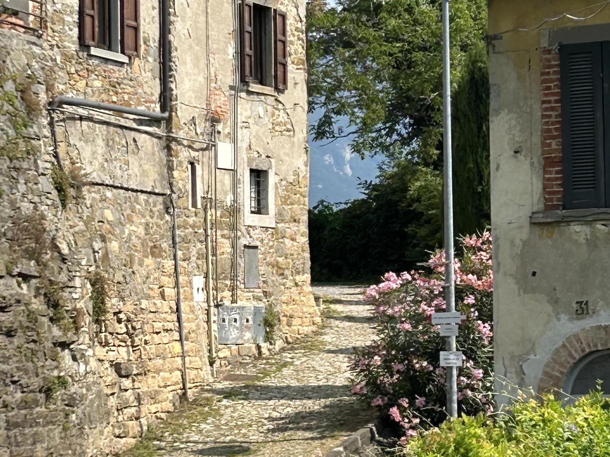 Апартаменти Il Giardino Di Berbech Citta Alta-Ulivo Бергамо Екстер'єр фото